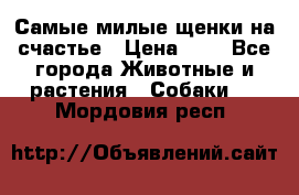 Самые милые щенки на счастье › Цена ­ 1 - Все города Животные и растения » Собаки   . Мордовия респ.